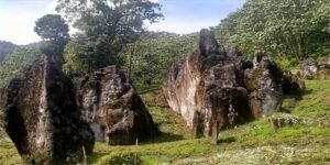 PELANG SANGRI: The Living Rocks in Arunachal Pradesh