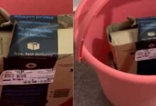 Viral Video: Bengaluru couple order Xbox from Amazon, gets cobra in package