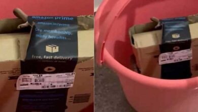 Viral Video: Bengaluru couple order Xbox from Amazon, gets cobra in package