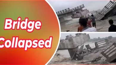 Bihar- Bridge on Bakra River in Araria Collapsed, Watch Viral Video