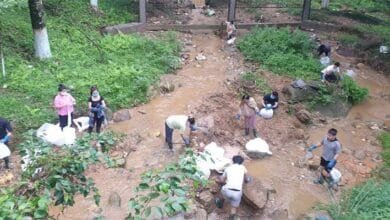 Arunachal: NGOs mark World Environment Day with river cleaning, plantation drives
