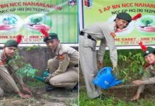 Arunachal: NCC cadets of 1 AP Bn launch ‘One Cadet-One Tree’