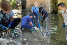 Arunachal: NGOs clean drive removes 840-kg waste from Yagamso River