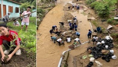 Arunachal: Yagamso River cleaned, trees planted to mark Van Mahotsav week