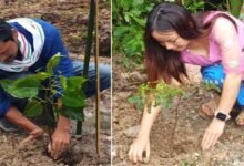 Arunachal: YWS with SSA plants tree saplings at Siluk village on the occasion of Van Mahotsav