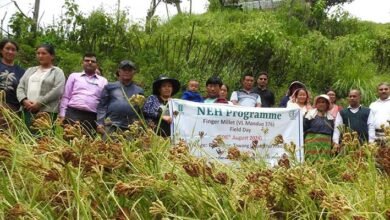 Arunachal: Finger millet Field Days & Farmer-Scientist Interactions