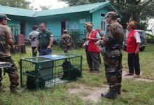 Arunachal: Orphaned Bear cubs at the CBRC take major steps towards wild release