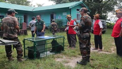 Arunachal: Orphaned Bear cubs at the CBRC take major steps towards wild release