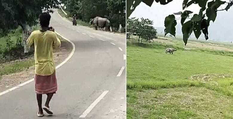 Assam: Biker dies after allegedly being attacked by wild Rhino