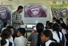 Arunachal: Students sensitised on saving endangered Hoolock gibbon in Arunachal Pradesh