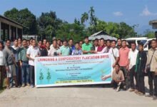 Arunachal: Ngopok villagers planted 700 saplings of Ketir Momir tree in the name of Geyon Apum