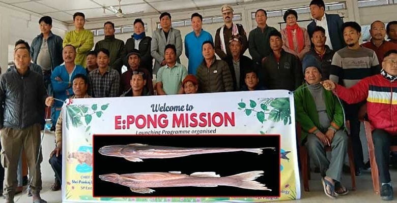 Arunachal: ECMM launches Mission Tango E:pong at Motum village to conserve species of Catfishes