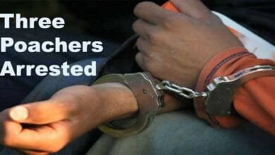 Arunachal: Three poachers arrested for killing sambar deer in DEMWS