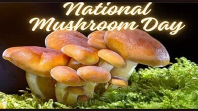 Arunachal: National Mushroom Day Celebrated at different places