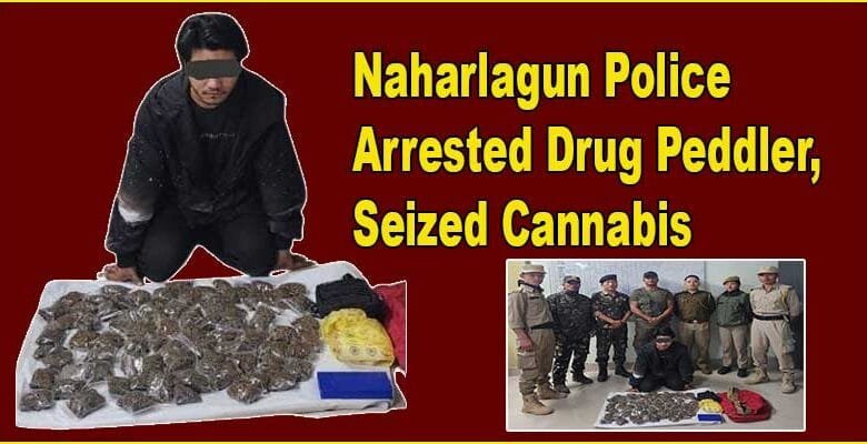 Arunachal: Naharlagun Police Arrested Drug Peddler, Seized Cannabis