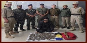 Arunachal: Naharlagun Police Arrested Drug Peddler, Seized Cannabis