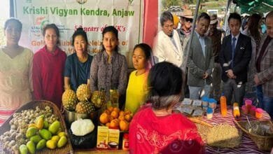 Arunachal: Value Addition and Fruit Processing Training for Nenu SHG Members held at Nenuliang