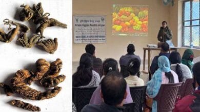 Arunachal: KVK organises Training on high-energy nutritious diets for hill community at Anjaw