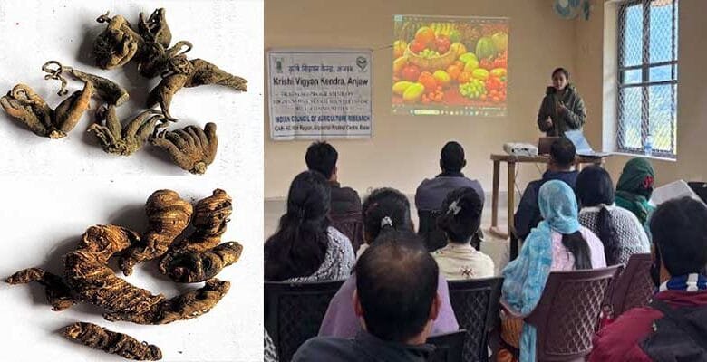 Arunachal: KVK organises Training on high-energy nutritious diets for hill community at Anjaw