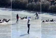 VIRAL VIDEO: Tourists Rescued After Falling Through Ice on Sela Lake in Arunachal