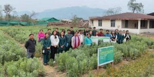 Arunachal: Field Demonstration on Scientific Cultivation of Faba bean Under NEH/TSP Component of AICRN on Potential crops