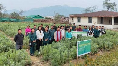 Arunachal: Field Demonstration on Scientific Cultivation of Faba bean Under NEH/TSP Component of AICRN on Potential crops