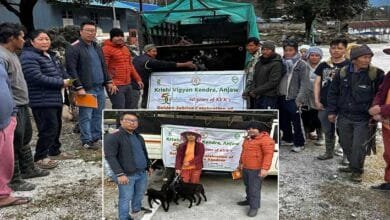 Arunachal: KVK Anjaw distributed 100 goats along with medicine kits to villagers