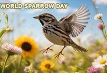 World Sparrow Day 2025: Raising Awareness for the Tiny Feathered Friends