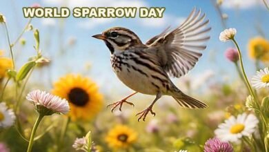 World Sparrow Day 2025: Raising Awareness for the Tiny Feathered Friends