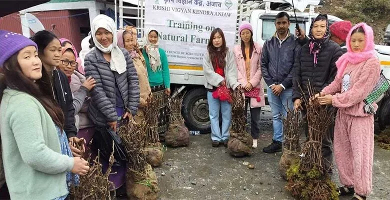 Arunachal: Training cum Input Distribution of Kiwi fruit saplings held at Vibrant Villages