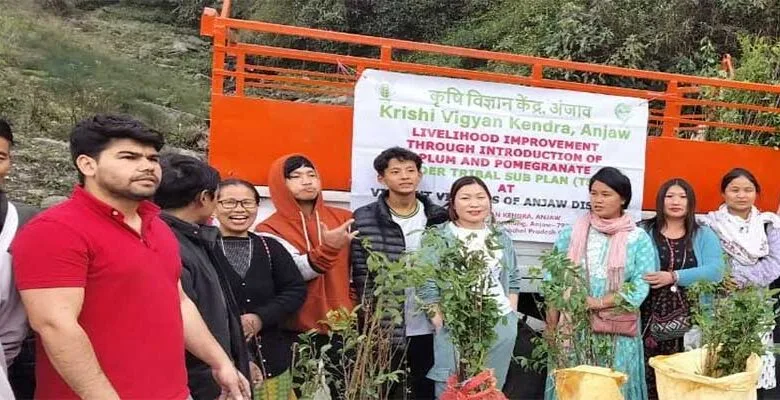 Arunachal: Training cum Input Distribution of Plum and Pomegranate saplings held in Anjaw