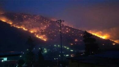 Arunachal: Forest Fire Rages Near Dirang, Swift Response Contains Blaze