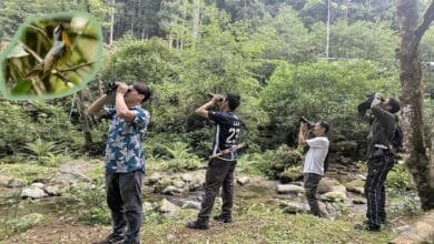 Arunachal: HYO Marks Himalayan Bird Count Day with Enthusiastic Participation in Ziro