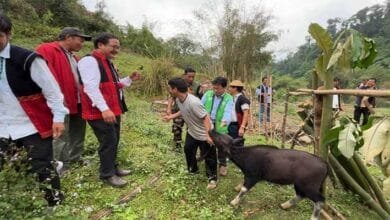 Arunachal: First Semi-Intensive Mithun Unit Inaugurated at Jomlo Mongku