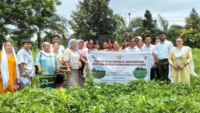 Arunachal: CHF Pasighat Hosts Field Day on Green Manuring for Sustainable Farming; Tools Distributed to Farmers