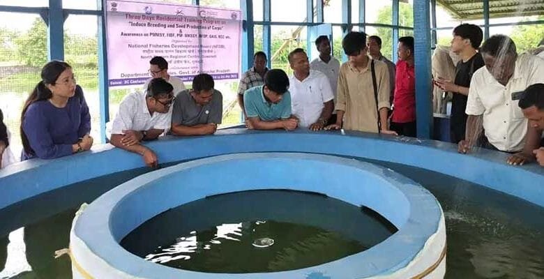 Arunachal: Three-Day Freshwater Fish Breeding Training Concludes Successfully in Namsai
