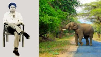 Arunachal: Former Tirap MLA Kapchen Rajkumar Killed in Tragic Elephant Attack