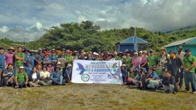 Arunachal: Two Rare Butterflies Spotted for First Time in India During Mechukha Meet