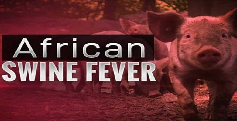 Arunachal: African Swine Fever Outbreak Confirmed in Longding’s Luaksim Village