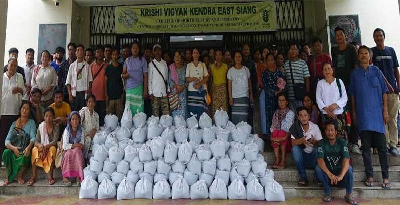 Arunachal: KVK East Siang Promotes Climate-Resilient Farming with Sesame CFLD Programme