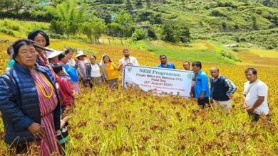 Arunachal: Finger Millet Field Days Boost Adoption of High-Yielding Varieties in Lungla Subdivision
