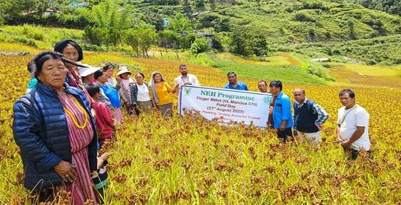 Arunachal: Finger Millet Field Days Boost Adoption of High-Yielding Varieties in Lungla Subdivision