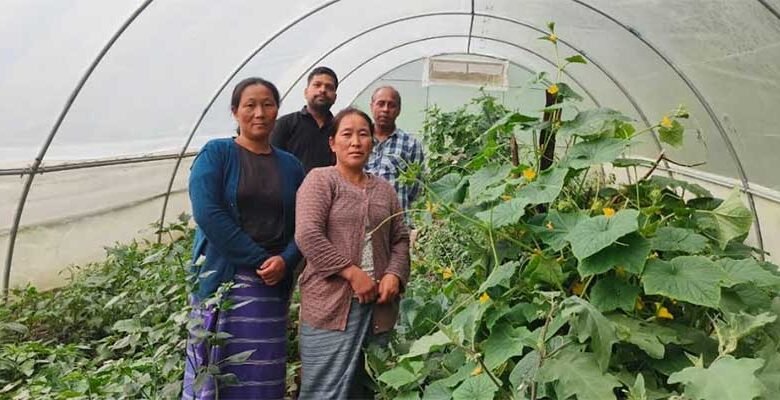 Arunachal: Protected Cultivation Boosts Farmer Income in Tawang
