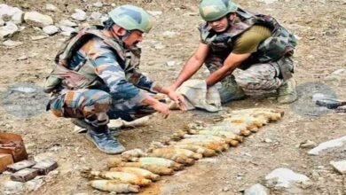 Protected Cultivation Boosts Farmer Income in Tawang