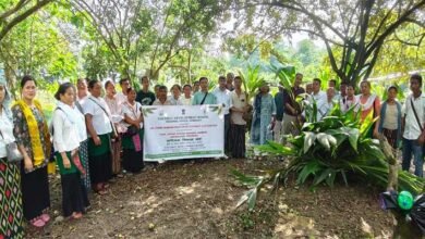 Arunachal: KVK Namsai and Coconut Development Board Conduct On-Farm Demonstration on Coconut Cultivation