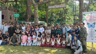 Arunachal: 235 Butterfly Species Recorded at Kamlang Reserve