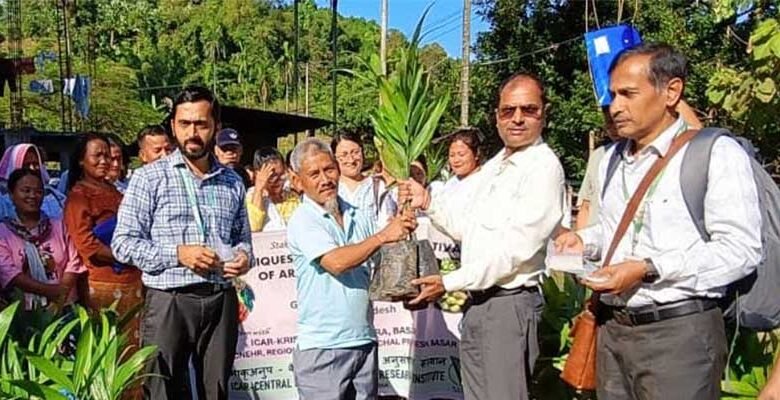 Arunachal: ICAR Trains Farmers on Arecanut, Coconut in LS