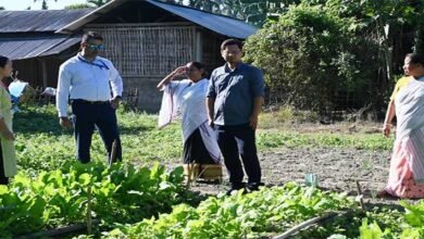 NABARD’s JIVA Project Boosts Natural Farming Practices in Namsai