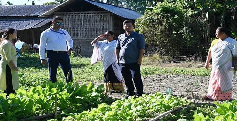 NABARD’s JIVA Project Boosts Natural Farming Practices in Namsai