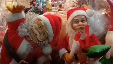 Northeast Markets Dazzle with Christmas Colours